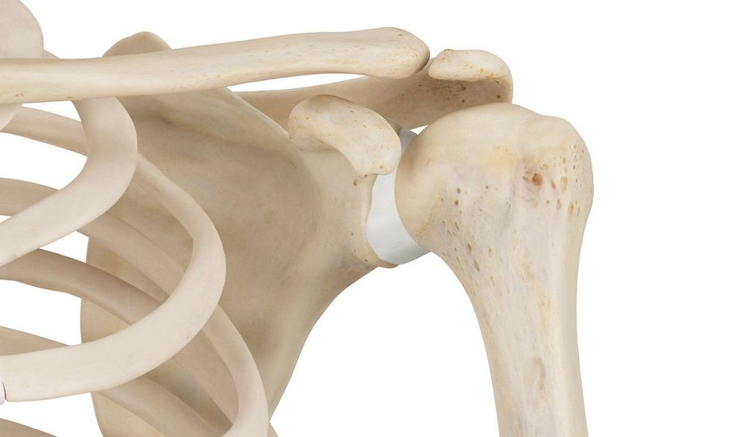Descalcificación de huesos. Peligros y qué hacer para evitarlo